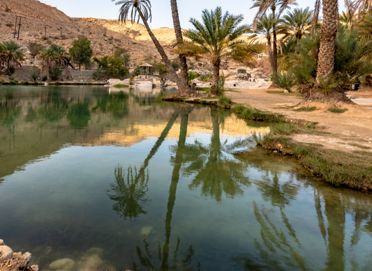 Desert Oasis
