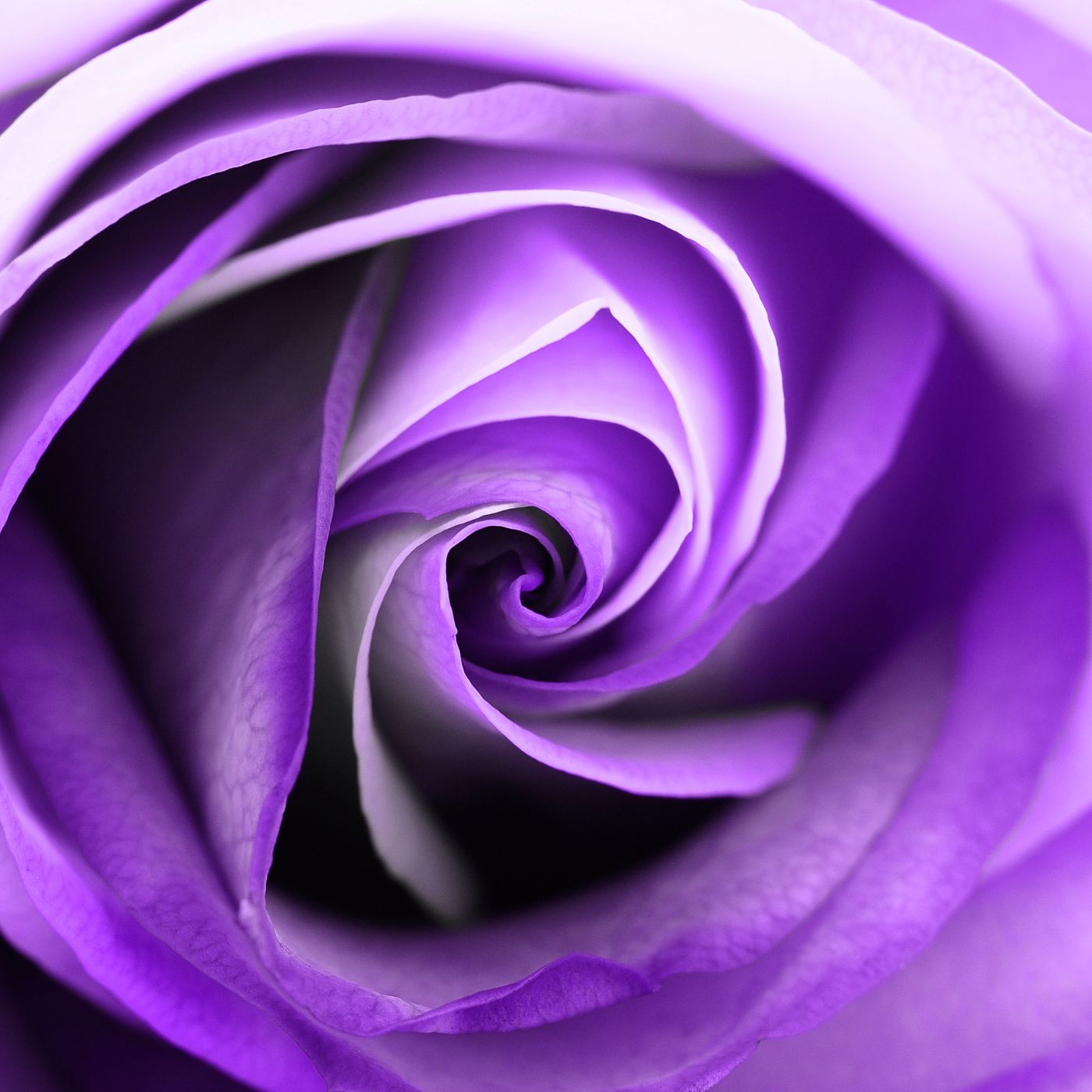 Just Love candle by Scentualist — designed for moments of love and reflection